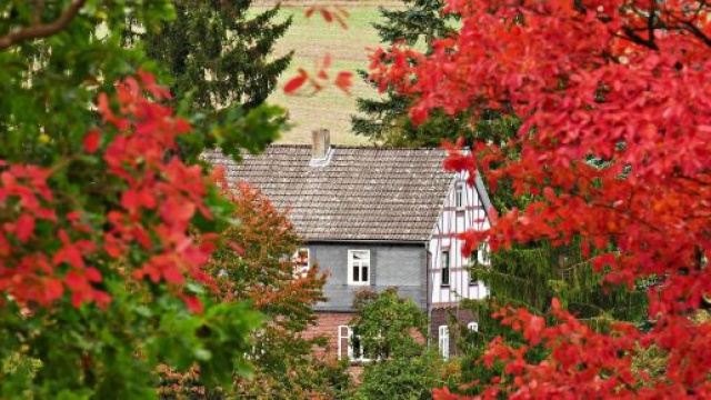 Panorama settembrino con alberi con foglie rosse e casetta sullo sfondo © Pixabay
