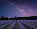 Previsioni zodiacali del 3 settembre: Vergine riflessiva e Gemelli cauti