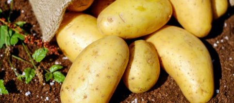 Gattò di Santa Chiara, un piatto unico della tradizione umbra