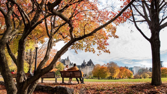 Coppia di innamorati su una panchina (©pixabay.com)