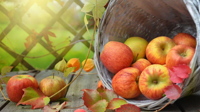 Delle mele in un cesto (©pixabay.com)