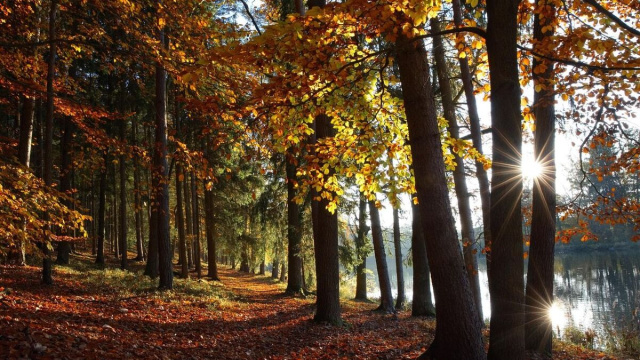 Paesaggio autunnale (&copy; pixabay.com).