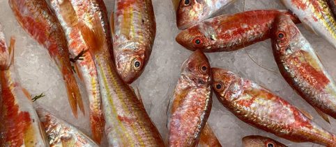 Triglia in agrodolce, una ricetta sontuosa ideale per chi ama il pesce