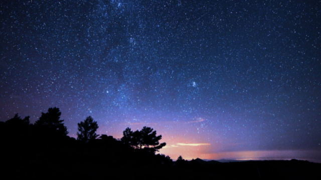 Cielo stellato e alberi © Pexels.com