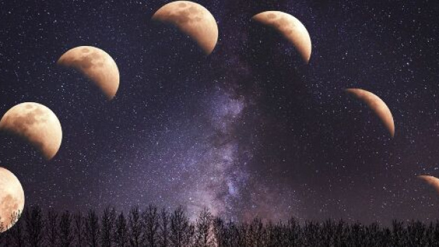 Le diverse fasi di un&rsquo;eclissi &copy; Pixabay.