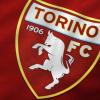 Iscrivetevi a questo Canale per conoscere le ultime novità sul Torino Calcio.