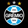 Grêmio Foot-Ball Porto Alegrense, o rei de Copas. Clube que tem a maior torcida do sul do Brasil. Inscreva-se no canal!