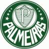 Sociedade Esportiva Palmeiras, o maior campeão nacional e o maior campeão do século XX. Inscreva-se no canal!