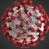Follow the Coronavirus - Covid-19 channel and receive all the updates on the pandemic. Live news coverage from Blasting News newsroom and from the official HHS social media channels.