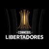 Libertadores é o campeonato mais importante da América do Sul e, logo, é o título mais desejado dos clubes brasileiros. Inscreva-se no canal.