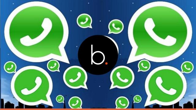 Video: Su Whatsapp è possibile sapere quando il tuo contatto preferito è online