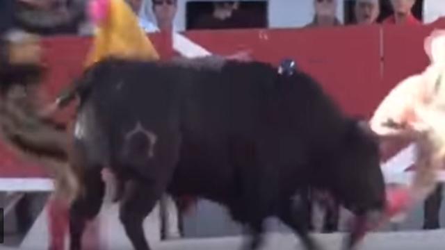 Francia: folla salva toro durante una corrida