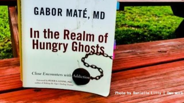 in the realm of hungry ghosts by dr gabor mate