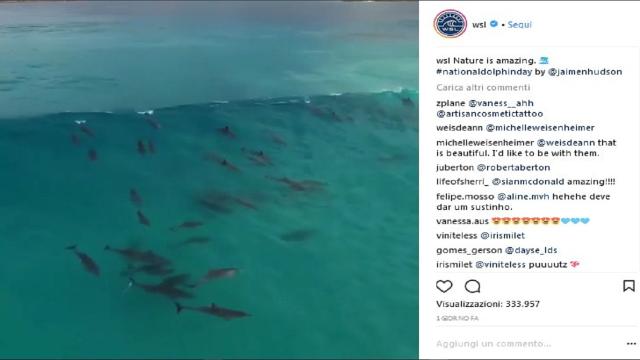 Australia, uno squalo attacca un surfista