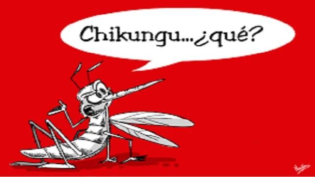 VÍDEO: ¡De terror, son las secuelas del chikungunya!