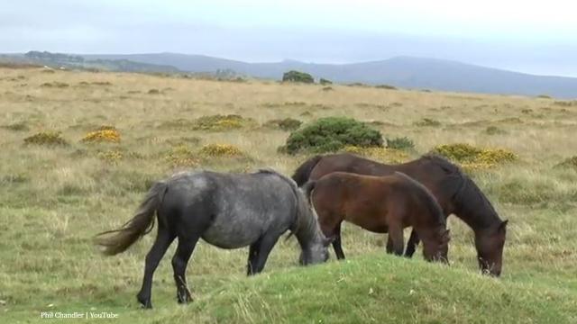 National Parks review ahead of 70th anniversary