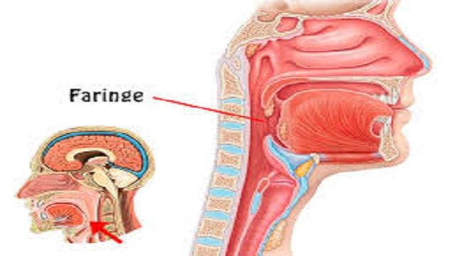 VIDEO: La faringitis, síntomas y tratamiento