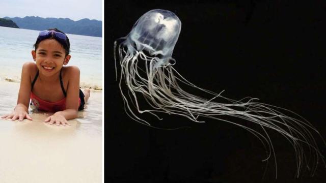 Gaia, bambina romana di sette anni uccisa da una medusa