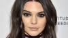 Kendall Jenner in completely sheer outfit with rumoured flame Anwar Hadid