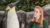 Telford Exotic Zoo fills new enclosure with plastic penguins