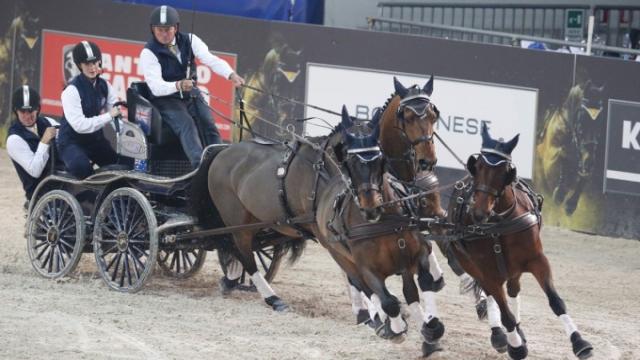 Verona: Fieracavalli 2018 tutte le informazioni utili per seguire l'evento