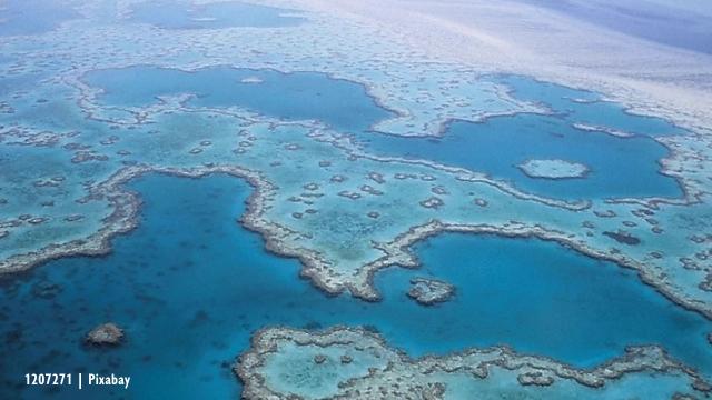 Australia's Great Barrier Reef exposed to potential pollution