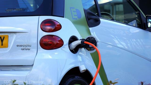 Electric cars will phase out petrol driven models; car sharing in the future