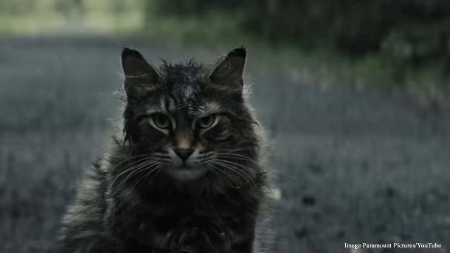 While Stephen King never really liked Pet Sematary he loves the new film adaptation