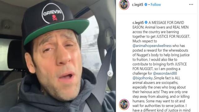 Teen Mom 2: New York Bully Crew challenge Davis Eason to a fight after he killed Nugget
