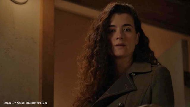 'NCIS:' Ziva might return from the dead in season 17