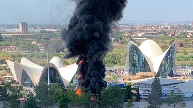 Incendio en el Oceanogràfic de Valencia provoca desalojo de las instalaciones