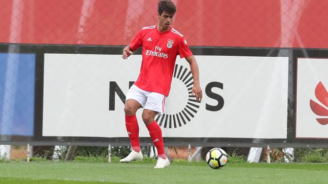 La Juventus sarebbe vicina a Joao Ferreira del Benfica