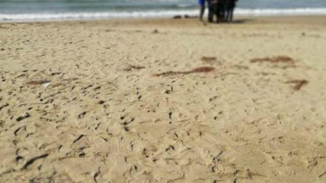 Orrore ad Albarella: resti umani sulla spiaggia