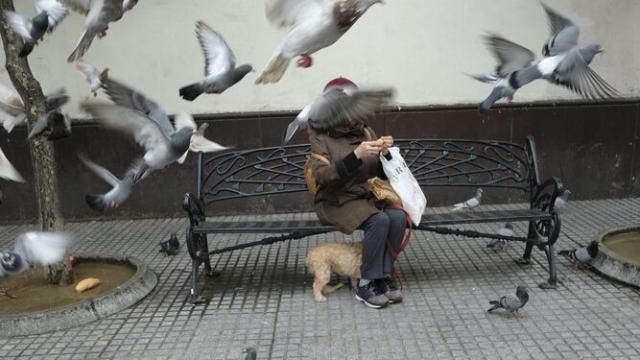 Una vecina de Getafe es denunciada por dar de comer a una plaga de palomas 