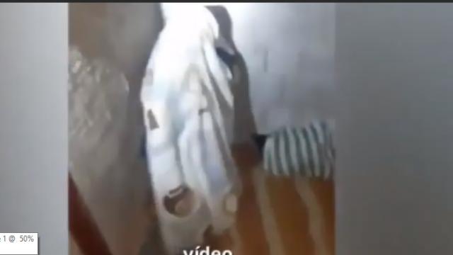 Homem se esconde debaixo de lençol para escapar da polícia e vídeo viraliza