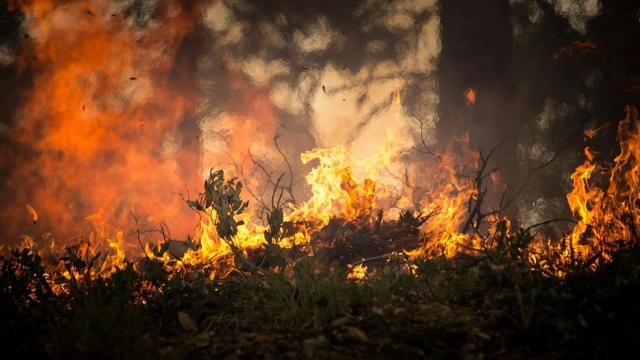 Lucca, 14enne muore nella sua abitazione a causa di un incendio