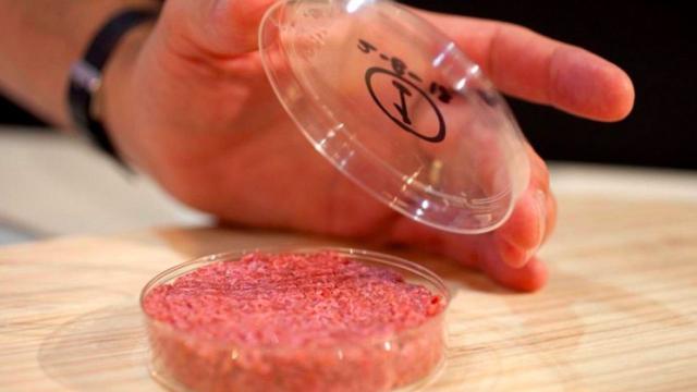 Carne in vitro: dall'Olanda arriva un processo di produzione senza macellazione