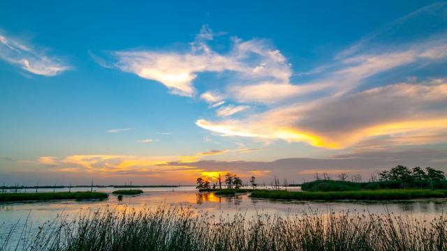 NASA to study rising sea level in Mississippi River Delta