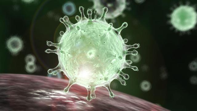 Coronavirus, Sardine e l'iniziativa 'nonfarticontagiare' per non entrare nel panico