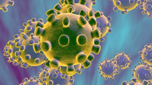 Coronavirus, rilevato il primo caso di positività in Sicilia