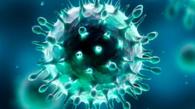 Coronavirus, presto negli USA i primi test sul vaccino 