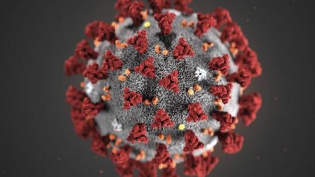 I numerosi morti in Lombardia potrebbero dipendere da una mutazione del virus