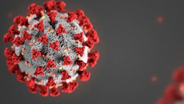 Consequências do novo coronavírus podem ser maiores que o esperado