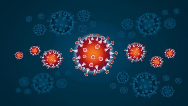 Coronavirus: si pensa ad un app che monitori gli spostamenti dei cittadini