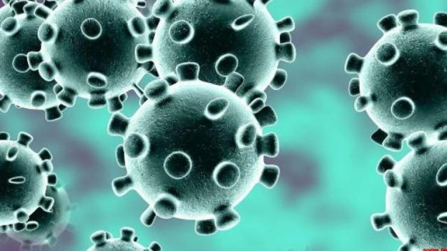 Coronavirus, registrati 3.491 nuovi contagi e 683 decessi 