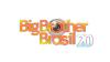 Os recordistas de rejeição do 'BBB'