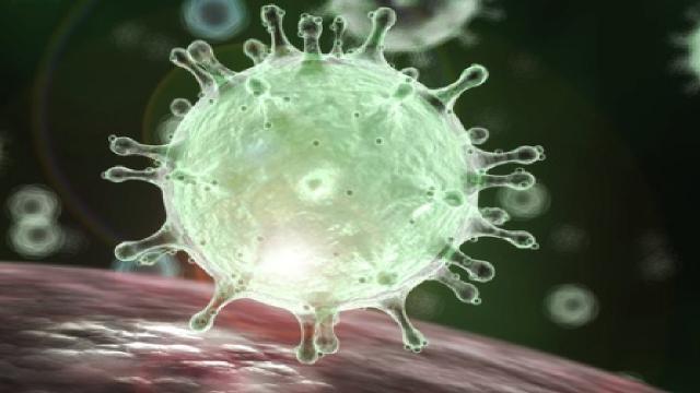 Coronavirus, identificarlo dagli scarichi fognari: lo studio pubblicato su Nature
