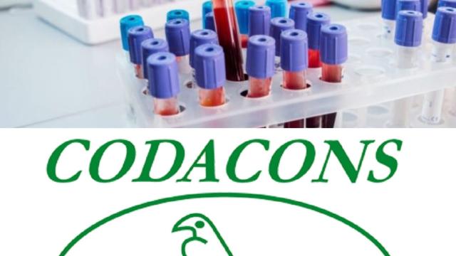 Il Codacons denuncia il Governo cinese per danni da pandemia del Covid-19