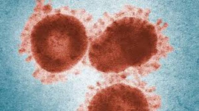 Coronavirus : La planète nous envoie des rappels à l'ordre