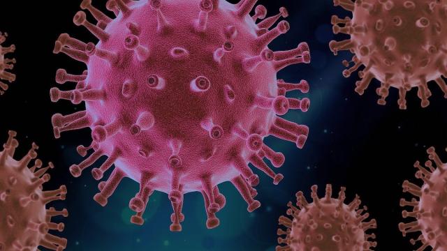 Una empresa de Estados Unidos prueba con éxito una vacuna experimental con el coronavirus
